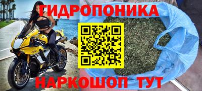 spice Лесосибирск
