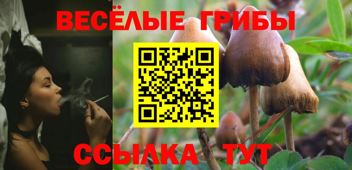 Галлюциногенные грибы мицелий Знаменск