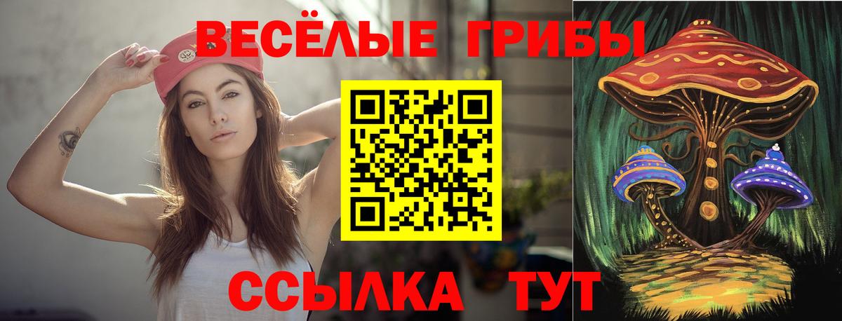 закладка  Вход с VPN  Знаменск  Псилоцибиновые грибы Psilocybe 